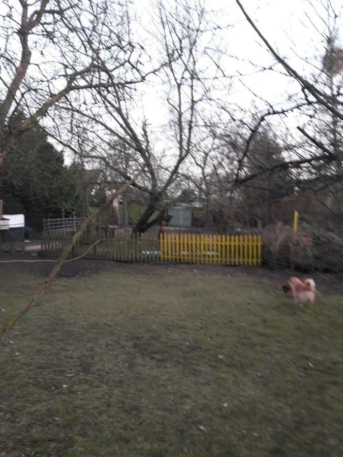Hundefreundliches Zimmer Wustermark Exterior foto
